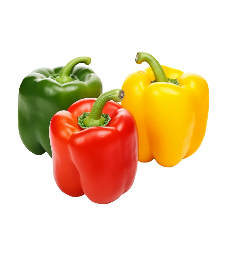 organic-product-1-2