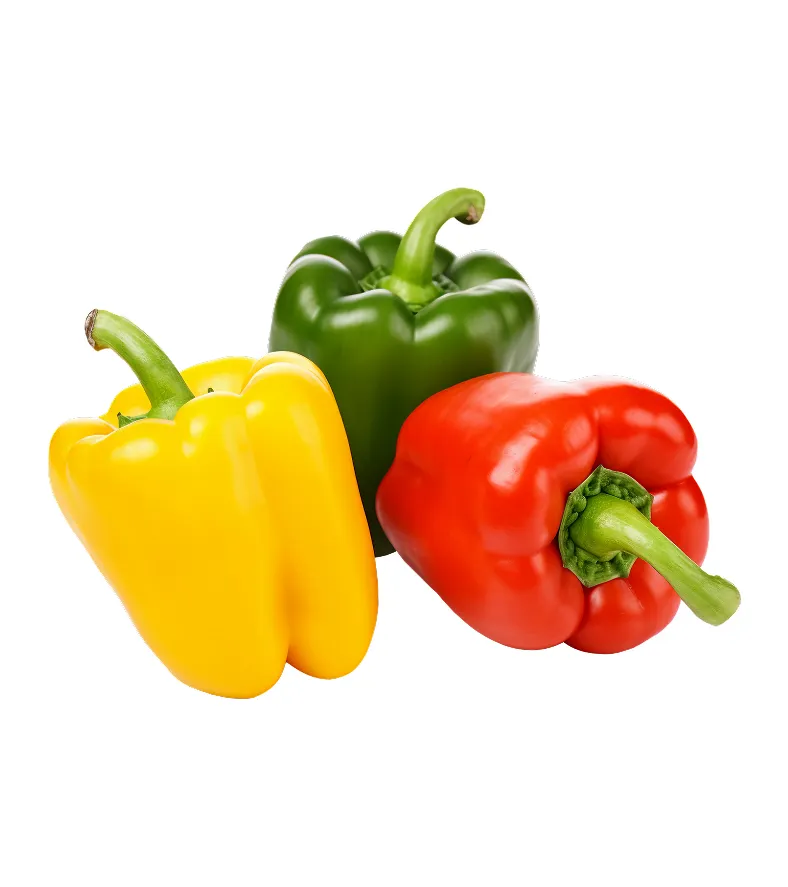 organic-product-1-3