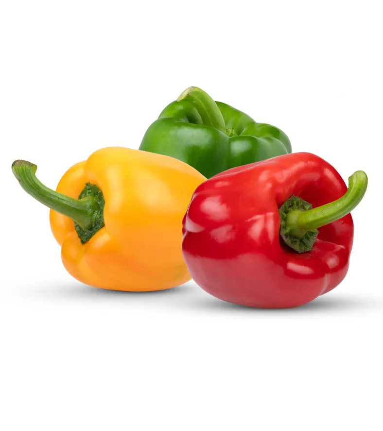 organic-product-1-4