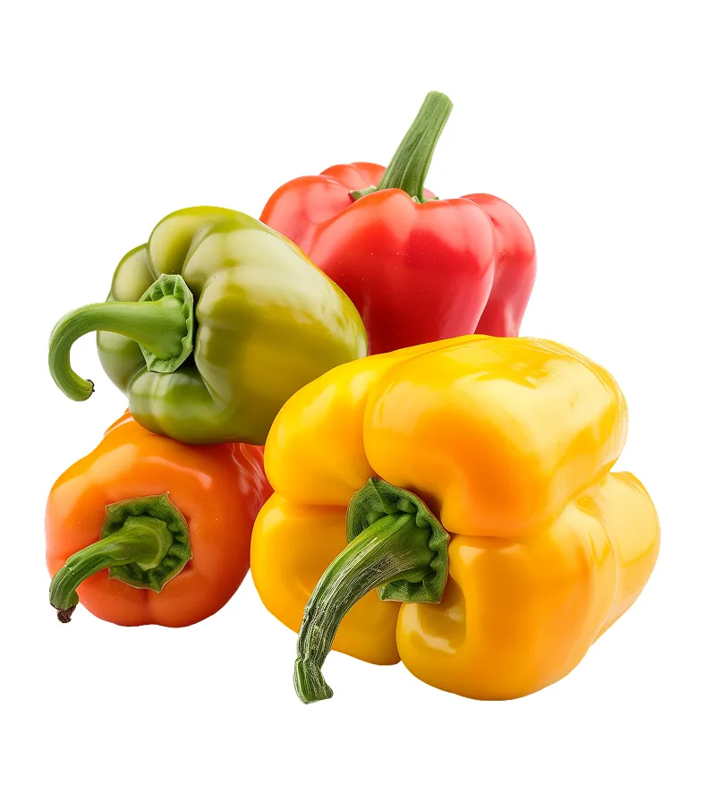 organic-product-1-5