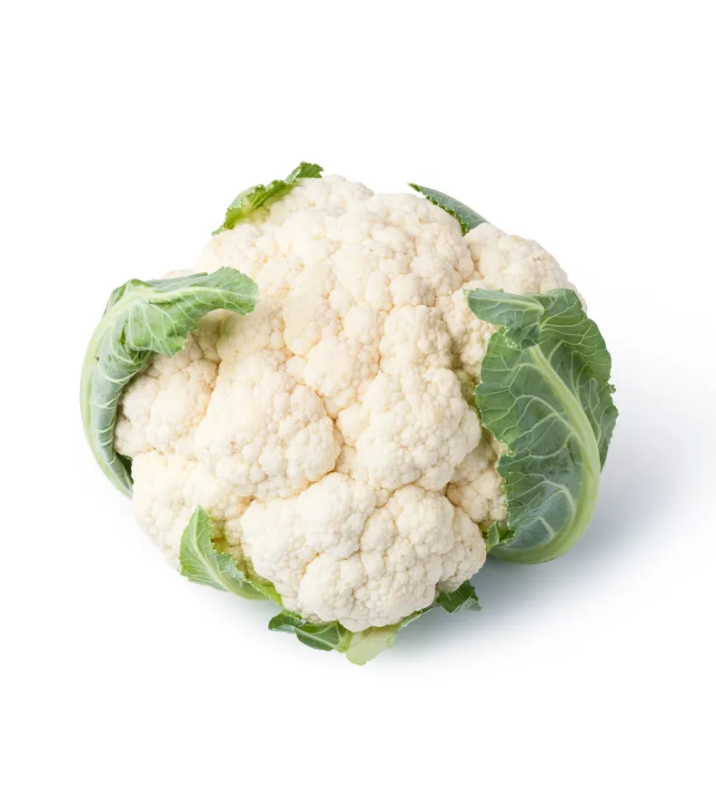 organic-product-13-2