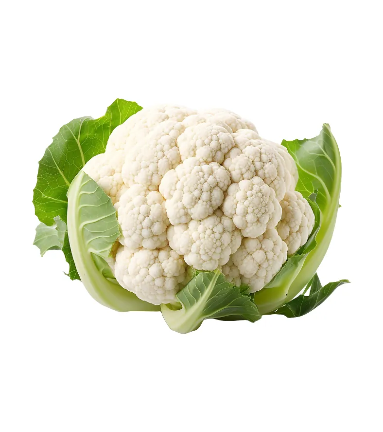 organic-product-13-3
