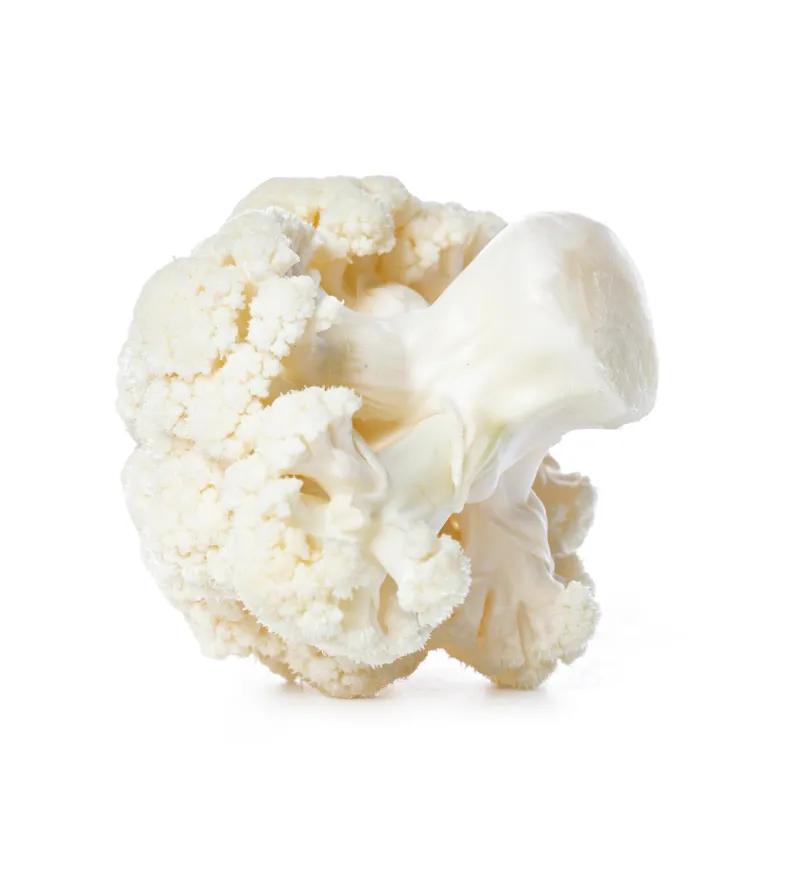 organic-product-13-5