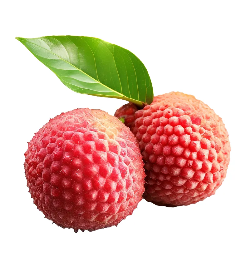 organic-product-15-4