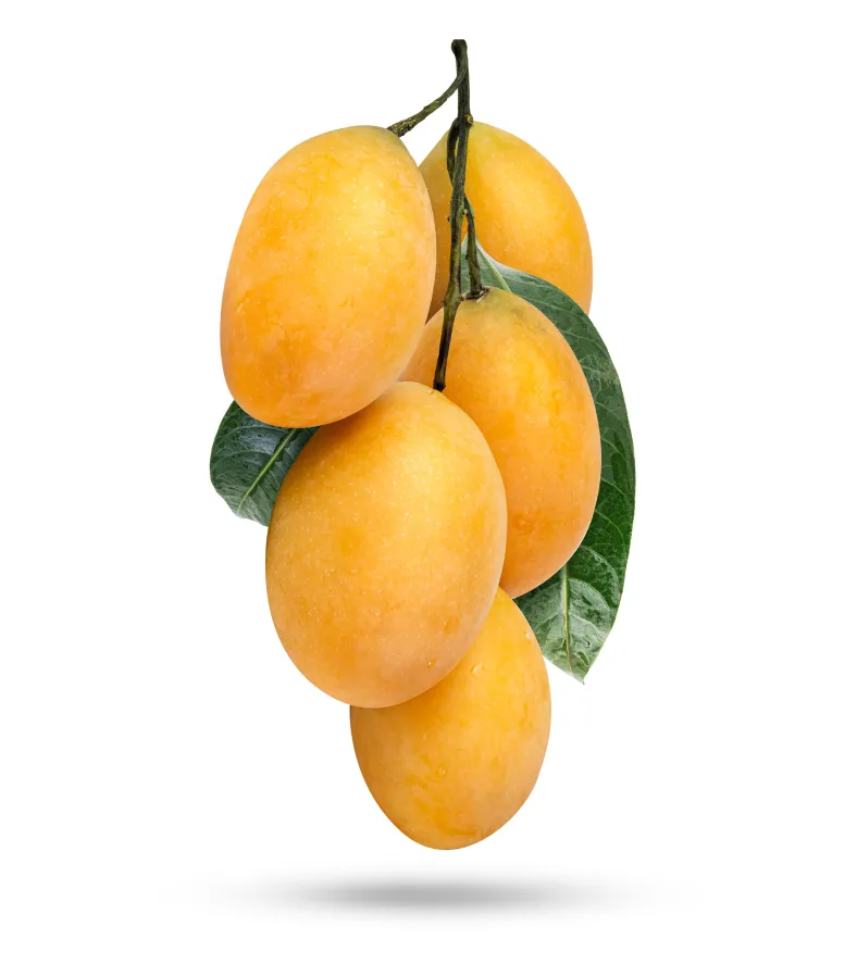 organic-product-16-3