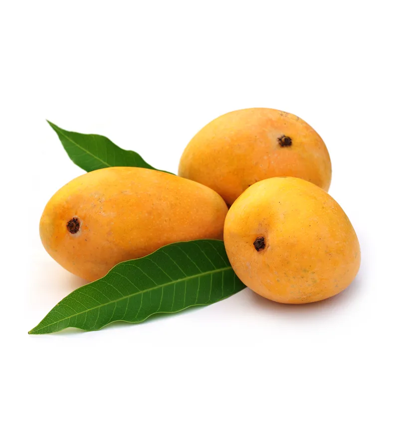 organic-product-16-4