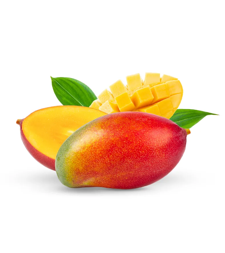 organic-product-16-5