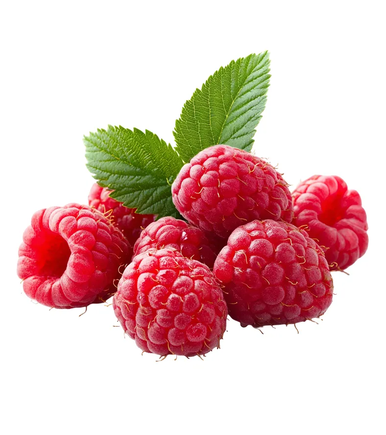 organic-product-17-2