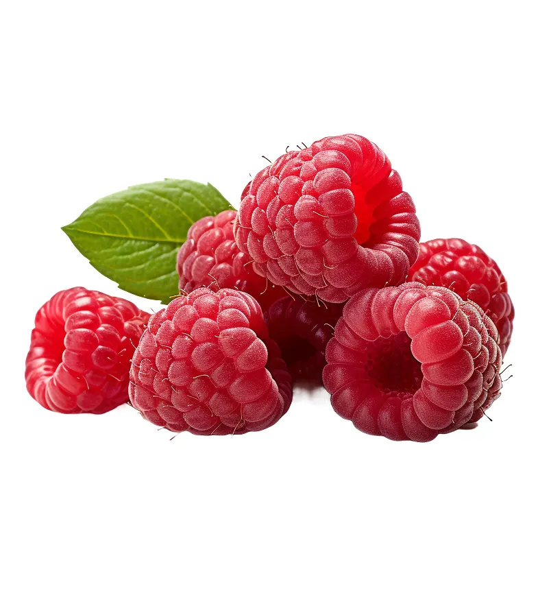 organic-product-17-3