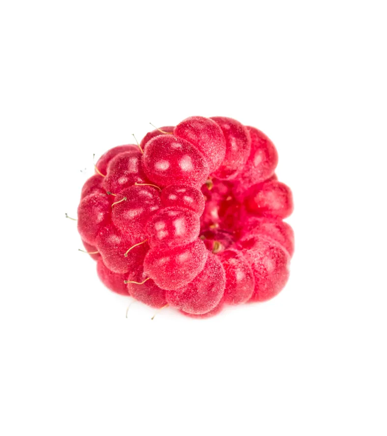 organic-product-17-4