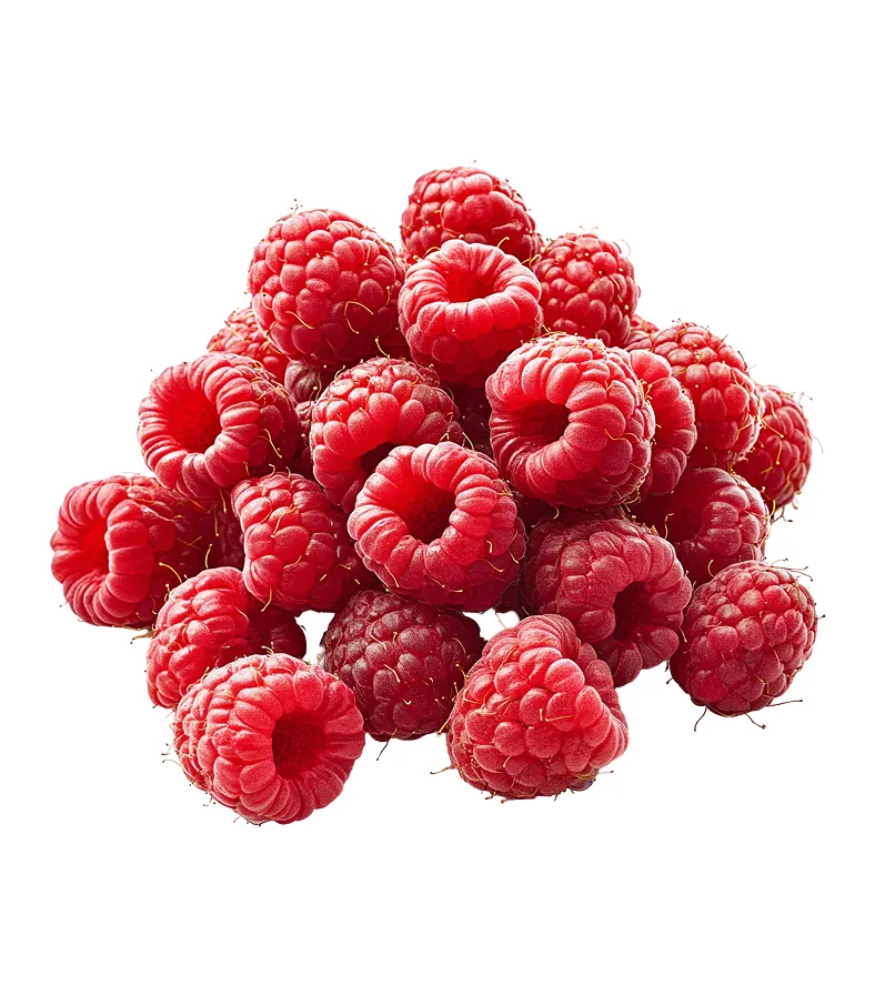 organic-product-17-5