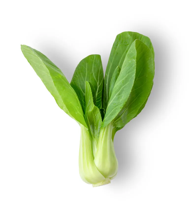 organic-product-18-2