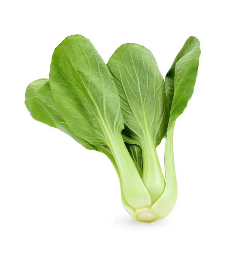 organic-product-18-3