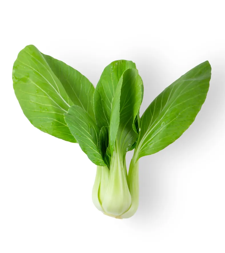 organic-product-18-4
