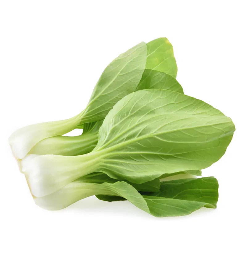 organic-product-18-5