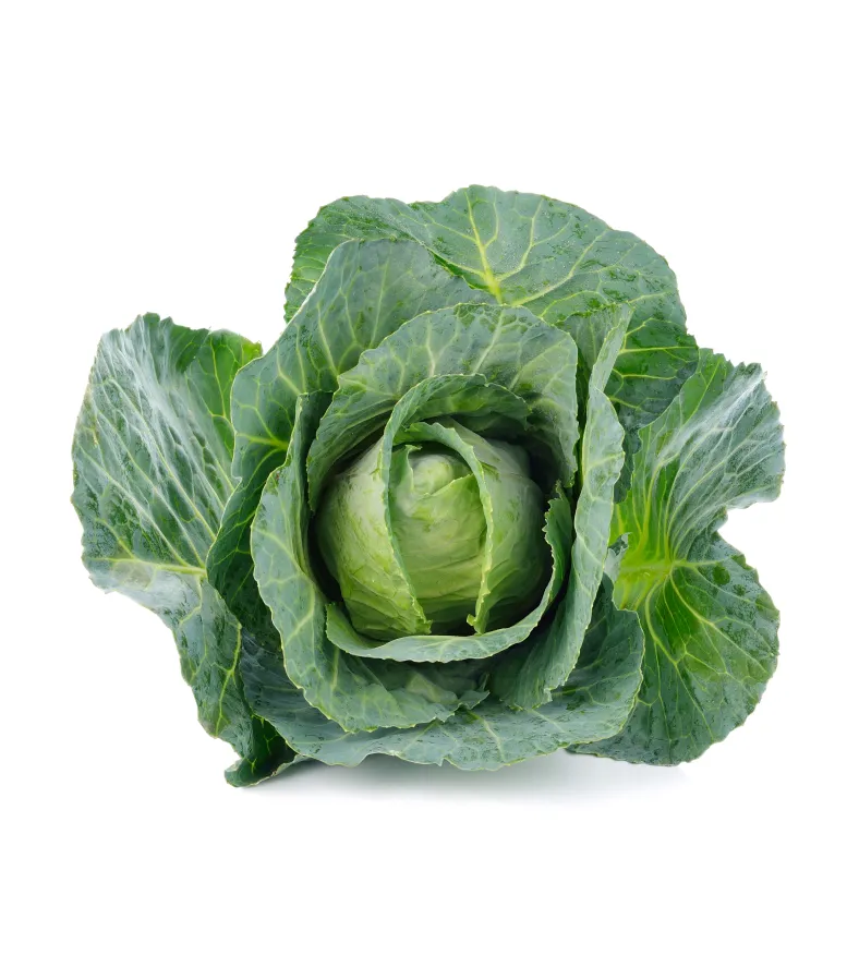 organic-product-7-2