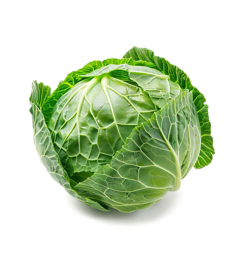 organic-product-7-3
