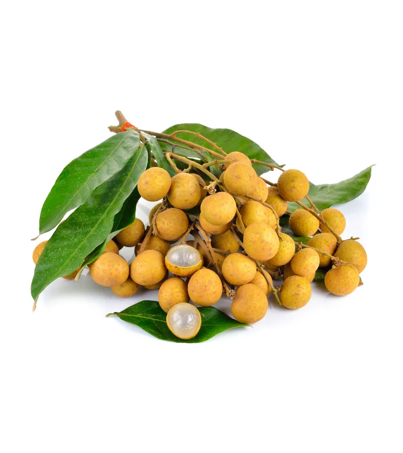 organic-product-8-5